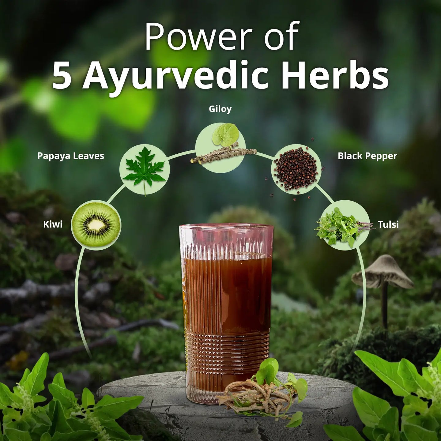 Platogrow | Platelet Syrup | Boost Platelets Naturally